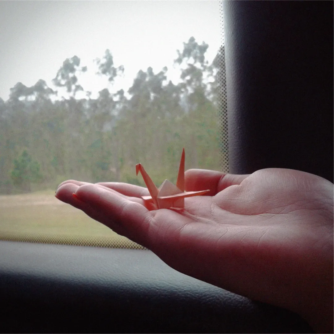 Na estrada - Paraty, RJ. Brasil