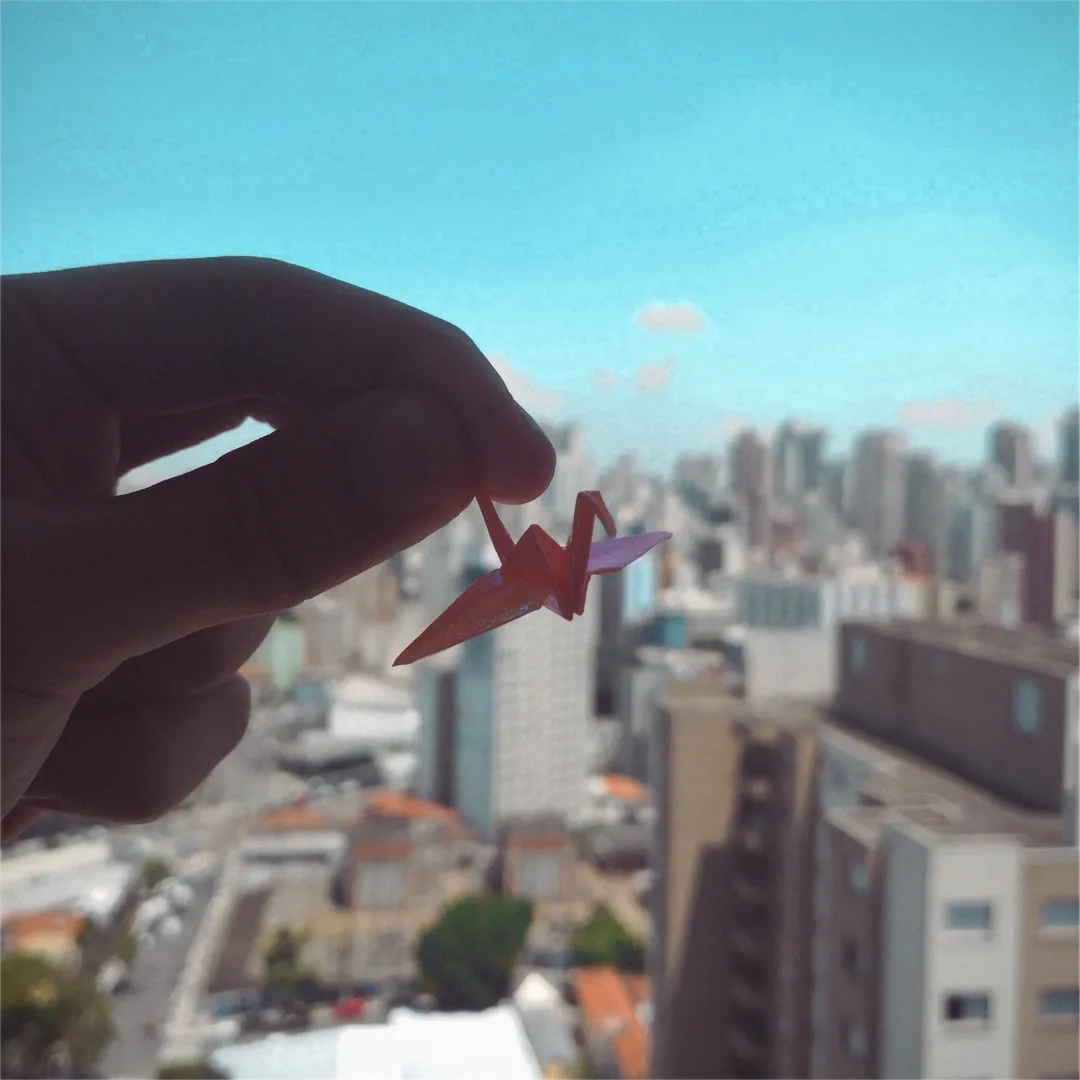 São Paulo, SP. Brasil