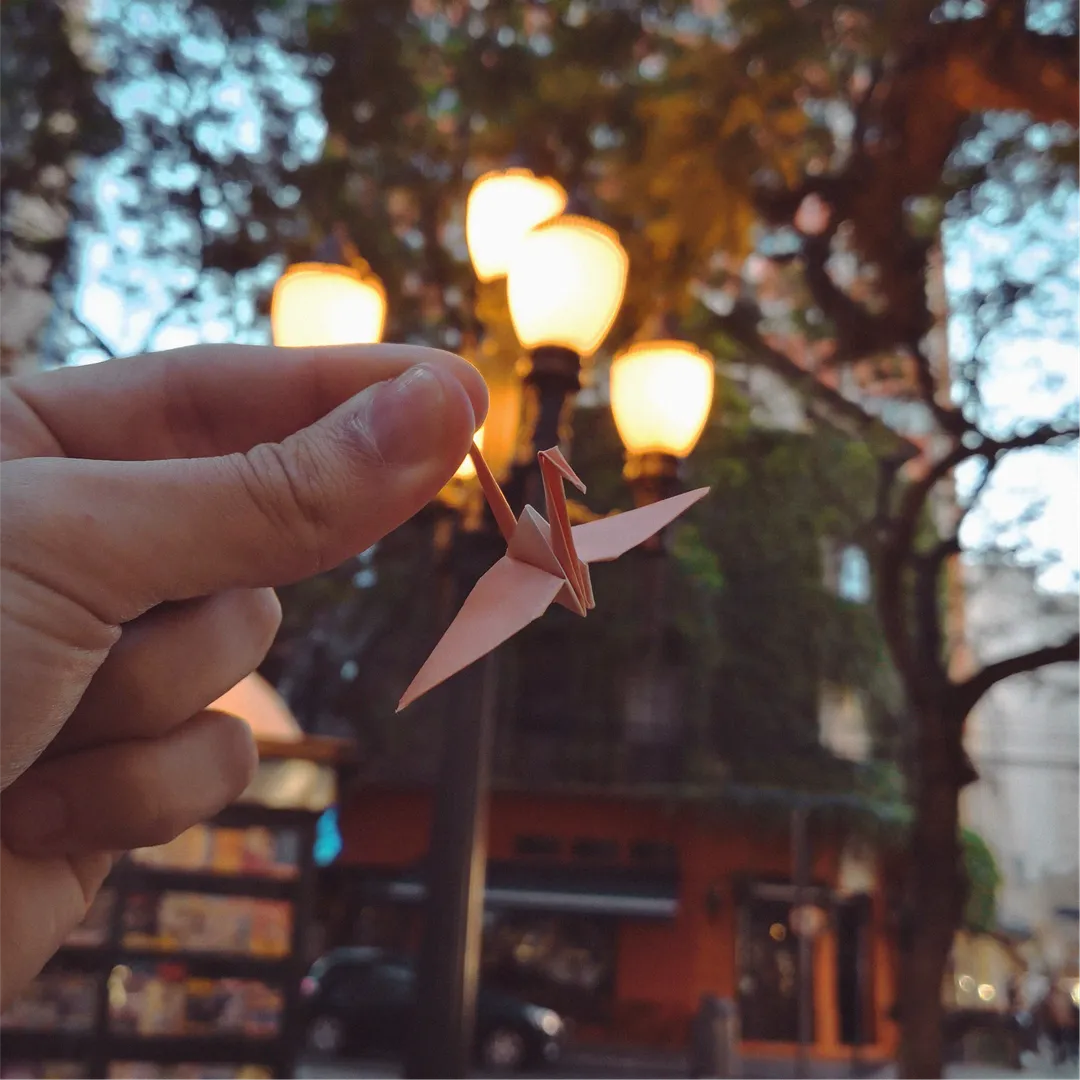 Edificio Anita - Curitiba, PR. Brasil
