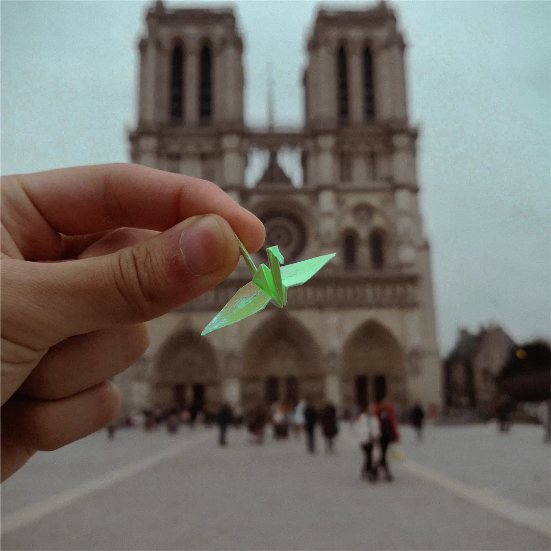 Cathédrale Notre-Dame de Paris - Paris. France