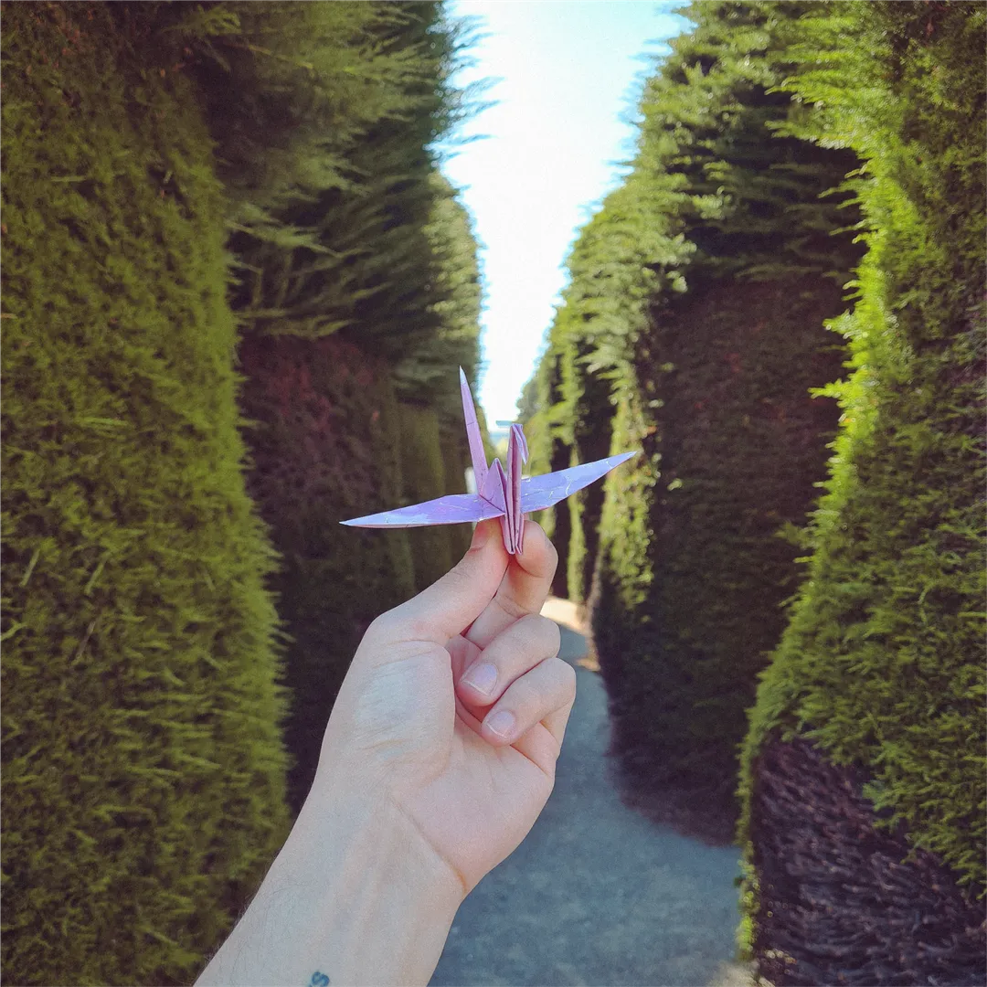 Cementerio Municipal - Punta Arenas, Magallanes. Chile