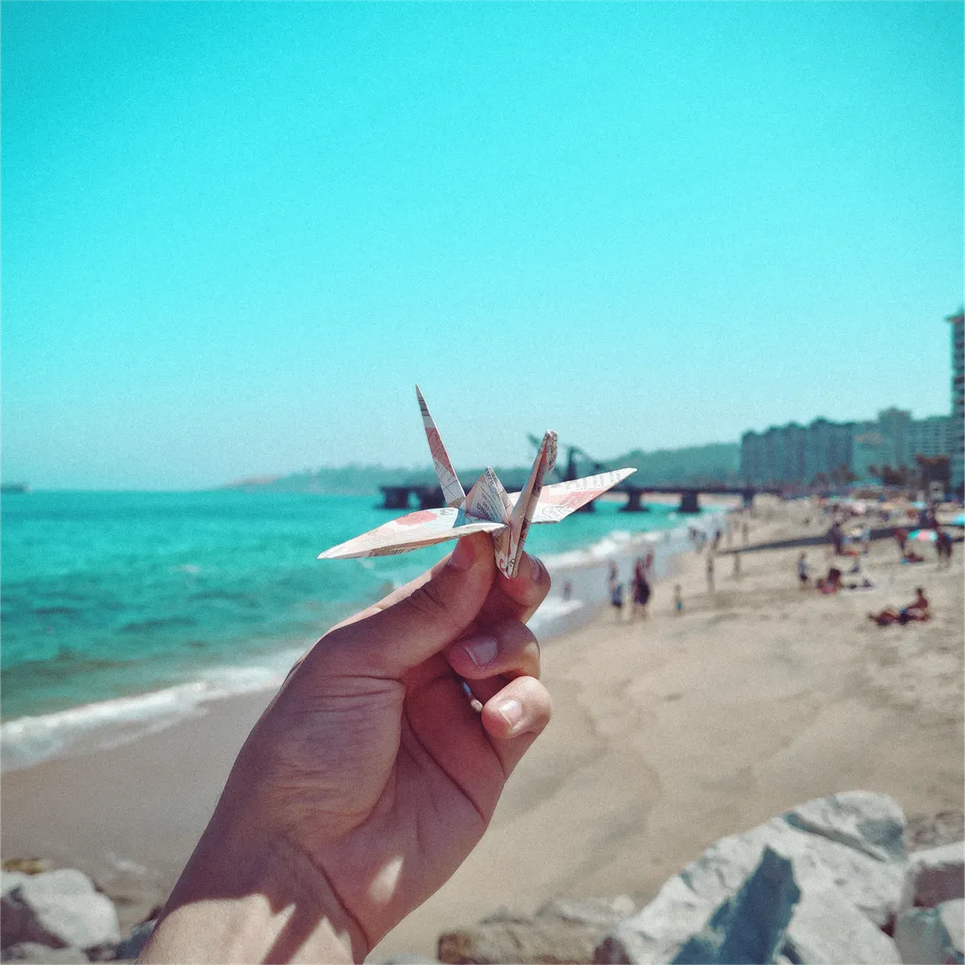 Viña del Mar, Valparaiso. Chile