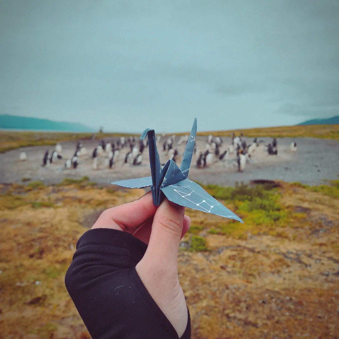 Isla Martillo - Tierra del Fuego. Argentina