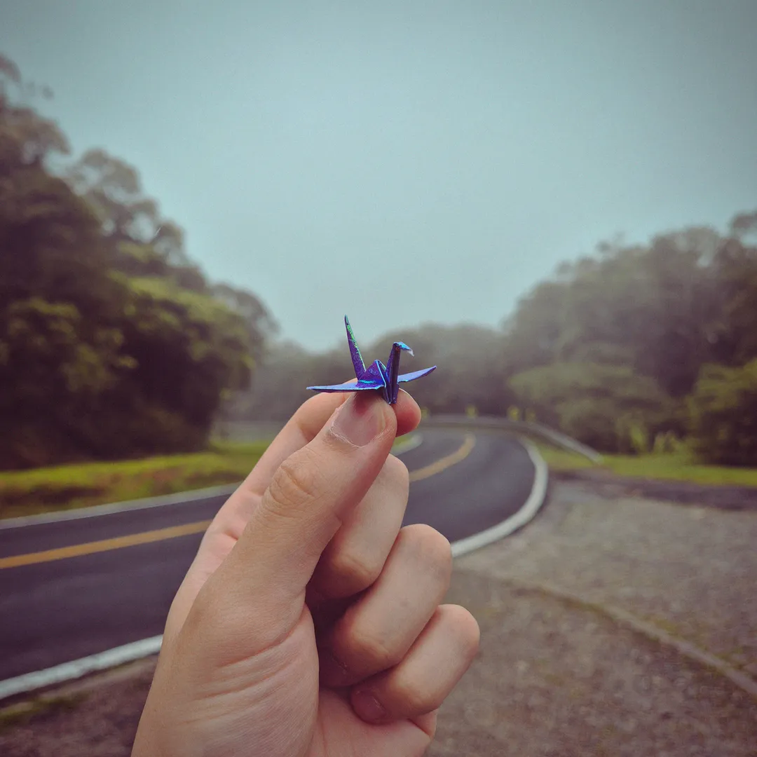 Estrada da Graciosa - Porto de Cima, PR. Brasil