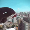 32 - São Paulo, SP. Brasil
