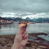47 - Pasarela Fique - Ushuaia, Tierra del Fuego. Argentina