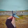 57 - Isla Martillo - Tierra del Fuego. Argentina